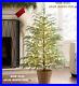 My_Texas_House_Potted_4FT_Pre_Lit_Cypress_Artificial_Christmas_Tree_100_Lights_01_xcj