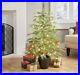 My_Texas_House_Potted_4_Pre_Lit_Cypress_Artificial_Christmas_Tree_100_LED_01_buzh