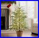 My_Texas_House_Potted_4ft_Pre_Lit_Twinkle_LED_Cypress_Artificial_Christmas_Tree_01_lfj