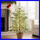 My_Texas_House_Potted_4ft_Pre_Lit_Twinkle_LED_Cypress_Artificial_Christmas_Tree_01_ym