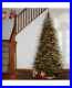 NATIONAL_TREE_COMPANY_6_5_Spruce_Christmas_Tree_with_350_Clear_Lights_504_01_rs