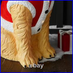 NEW 2.5 ft LED Golden Retriever Christmas Blow Mold Home Depot 2025