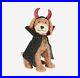 NEW_Haunted_Living_Halloween_FLUFFY_DOODLE_DOG_28in_LED_Greeter_Yard_Decor_01_ba