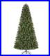 NEW_Home_Accents_Holiday_7_5_ft_Festive_Pine_LED_Pre_Lit_Artificial_Christmas_01_tq