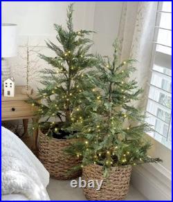 NEW My Texas House 2-Pack 4ft/24in Cypress Christmas Trees Real Touch Pre-Lit NEW My Texas House 2-Pack 4ft/24in Cypress Christmas Trees Real Touch Pre-Lit