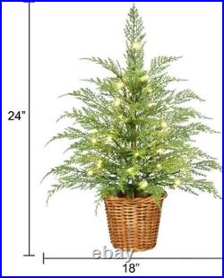 NEW My Texas House 2-Pack 4ft/24in Cypress Christmas Trees Real Touch Pre-Lit NEW My Texas House 2-Pack 4ft/24in Cypress Christmas Trees Real Touch Pre-Lit