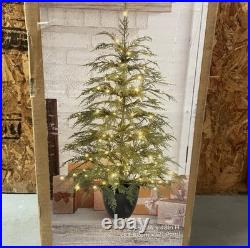 NEW My Texas House 4FT Pre-Lit Cypress Artificial Tree Christmas 100 Lights NEW My Texas House 4FT Pre-Lit Cypress Artificial Tree Christmas 100 Lights