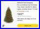 National_Tree_7_5_ft_Dunhill_Fir_Pre_Lit_Clear_Lights_Hinged_Full_Tree_with_Stand_01_isc