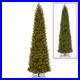 National_Tree_Company_12_ft_Douglas_Fir_Pre_lit_Slim_Artificial_Christmas_Tree_01_bqaa