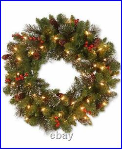 National Tree Company 24Inch Crestwood Spruce Wreath with Silver Bristle Cones
