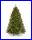 National_Tree_Company_6_Feet_Winchester_Pine_Tree_with_Clear_Lights_01_fdbu