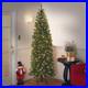 National_Tree_Company_7_5_ft_Pre_lit_Artificial_Christmas_Tree_Green_Pencil_01_extz