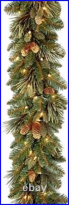 National Tree Company 9 ft Pre-Lit Carolina Pine Artificial Christmas Garland, C