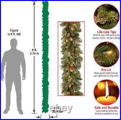 National Tree Company 9 ft Pre-Lit Carolina Pine Artificial Christmas Garland, C