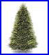 National_Tree_Company_Artificial_Christmas_Tree_Dunhill_Fir_Stand_Included_01_ztcp
