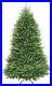 National_Tree_Company_Artificial_Full_Christmas_Tree_Green_Dunhill_Fir_01_xsc