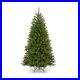 National_Tree_Company_Artificial_Full_Christmas_Tree_Green_North_Valley_Spr_01_zg