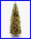 National_Tree_Company_Artificial_Pre_Lit_Slim_Christmas_Tree_6_5_ft_Green_01_pcaj