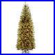 National_Tree_Company_Artificial_Pre_Lit_Slim_Christmas_Tree_Green_Kingswoo_01_bsxc