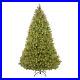 National_Tree_Company_Bayberry_Spruce_9_Foot_Pre_lit_Artificial_Christmas_Tree_01_kqo