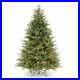 National_Tree_Company_Frasier_Fir_6_5_Ft_Color_Prelit_Artificial_Christmas_Tree_01_jjw