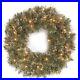 National_Tree_Company_Glittery_Bristle_artificial_wreath_01_fre