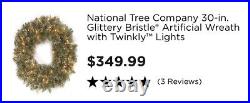 National Tree Company Glittery Bristle artificial wreath