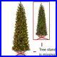 National_Tree_Company_Multi_Color_Prelit_LED_Green_Pencil_6_5_Christmas_Tree_01_wzn