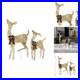National_Tree_Company_National_Tree_28_Inches_X_38_Inches_Doe_And_Fawn_Pine_01_mrzg