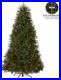 National_Tree_Company_Pre_Lit_Artificial_Christmas_Tree_Green_Dunhill_Fir_6_5_Ft_01_zyt