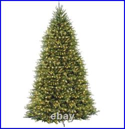 National Tree Company Pre-Lit Artificial Christmas Tree, White Lights, 10 foot