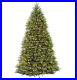 National_Tree_Company_Pre_Lit_Artificial_Christmas_Tree_White_Lights_10_foot_01_mpt