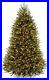 National_Tree_Company_Pre_Lit_Artificial_Full_Christmas_Tree_Dunhill_Fir_6_FT_01_hqg