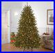 National_Tree_Company_Pre_Lit_Artificial_Full_Christmas_Tree_Green_Dunhill_Fi_01_ezb