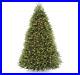 National_Tree_Company_Pre_Lit_Christmas_Tree_Dunhill_Fir_White_Lights_9_Feet_01_uefq