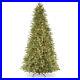 National_Tree_Company_Tiffany_Fir_9_Large_Slim_Prelit_Artificial_Christmas_Tree_01_nqoh