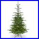 National_Tree_Company_feel_Real_Pre_lit_Artificial_Christmas_Tree_Green_01_ciz