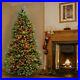 National_Tree_Dunhill_Fir_Tree_with_Multicolor_Lights_Green_7_5_01_kim