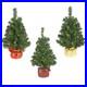 National_Tree_Noble_Spruce_Tree_with_LED_Lights_Assorted_2_Pack_of_3_01_vlc