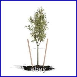 Natural Wood Tree Stake Lodge-Pole Support Garden Yard 6 Ft. Round (12-Pack)