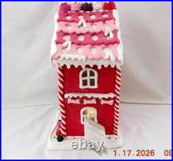 New 2025 Trimsetter Gingerbread House Light Up LED Pet Shop 11.8T x 8L x 6.5