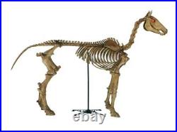 New 6 ft Life Size Standing Skeleton Horse Halloween Home Accents IN HAND