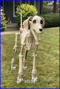 New 7ft FT Skeleton Dog Skelly Home Accent Halloween 2024 Home Depot FAST SHIP