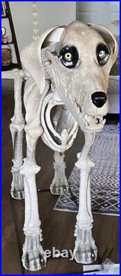 New 7ft FT Skeleton Dog Skelly Home Accent Halloween 2024 Home Depot FAST SHIP