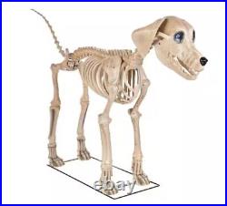 New 7ft FT Skeleton Dog Skelly Home Accent Halloween 2024 Home Depot FAST SHIP