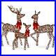 New_Frosted_3_Piece_Lighted_Rattan_Deer_Family_Outdoor_Decor_Set_with_360_Lights_01_xk