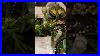 New_Holiday_Decor_Trends_Christmas_Decorating_Ideas_01_mts