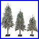 Northlight_3_Flocked_Alpine_Artificial_Christmas_Trees_3_4_5_Clear_Lights_01_ert