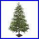 Northlight_6_5_North_Pine_Artificial_Christmas_Tree_Unlit_01_ifje