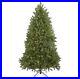 Northlight_9_Full_Northern_Pine_Artificial_Christmas_Tree_Clear_Lights_01_ytpj